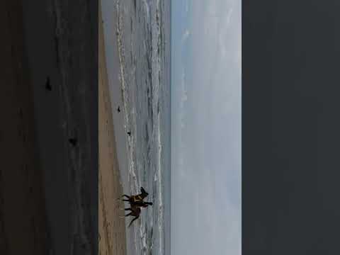 Marina beach 17 nov 2019