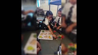Fun Activity based learning of Fruits🍒 and Birds 🐥class U.K.G👨‍🎓