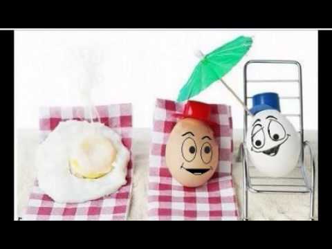 egg story