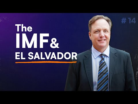 WTF the IMF, Tether and Bitcoin in El Salvador?: Mike Peterson #13