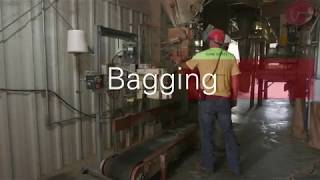 Bagging