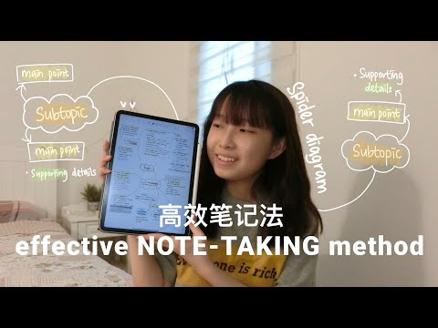 如何做高效笔记 How I take notes - Spider Diagram - IPad Pro