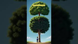The Tree Of Wisdom || Story Trove || #wisdom #knowledge #growth