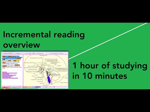 1 hour of incremental reading in 10 minutes (SuperMemo) | @Naess
