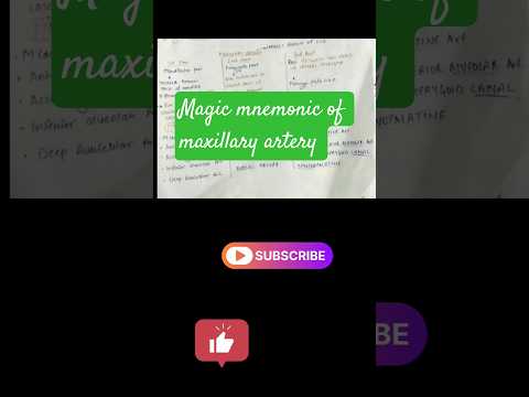 Day-1/100trick to learn maxillary artery#exampreparation#education#exam#motivation#studytips
