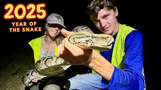 A Year of Hunting Pythons in the Everglades
