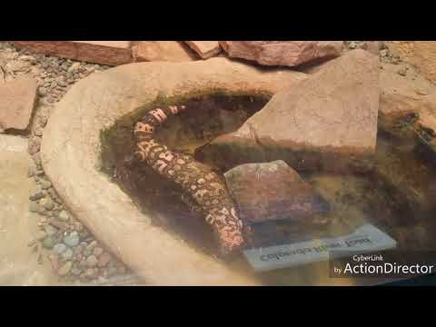 Newport Aquarium CINCINNATI