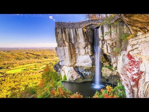 Relaxing Music With Water Sounds, Bird Sounds, Stress Relief Music, Sleep Music, Meditation