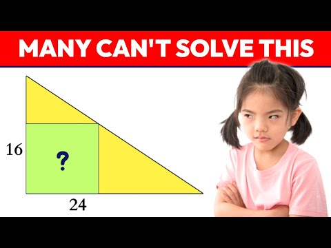Find the Area of the Square in the Picture?