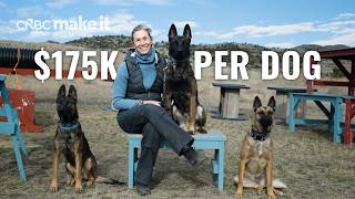 I Sell Protection Dogs For $175K In Montana