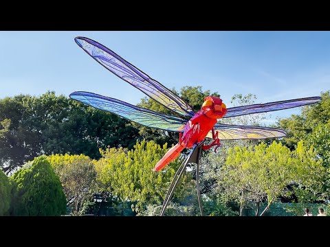 Dallas Arboretum and Botanical Garden: Featuring Bugtopia!!!