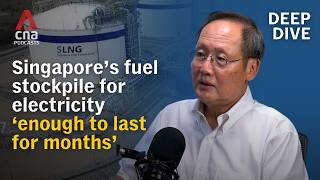 Singapore's fuel stockpile for electricity 'enough to last for months': Tan See Leng | Deep Dive