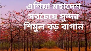 most beautiful places in bangladesh | শিমুলগাছ তাহেরপুর সুনামগঞ্জ 