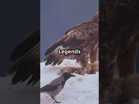 5 Amazing Facts About Griffins You Didn't Know! #youtubeshorts #fascinatingwildlife #facts #funfacts