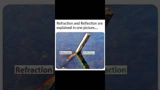 Refraction and Reflection are explained in one picture.👍 #sciencefacts #knowledge  #reflaction