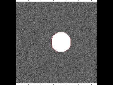 modifiedChanVeseExample001_5fps.avi