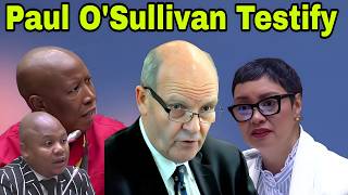 Paul O'Sullivan appears before Ad Hoc Committee on General Mkhwanazi allegations.