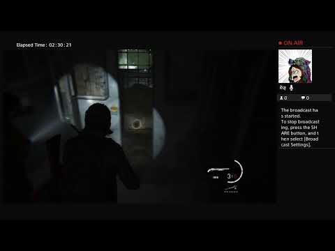 The Last of US 2