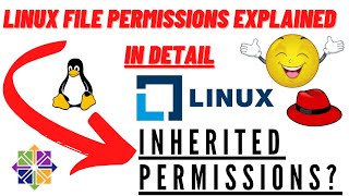 Linux file permissions explained in one video, what are inherited permissions🤨 ?  super easy [4k]🏇🏼