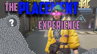 The Placement Experience