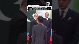 PM Modi, Russia’s Putin walk, Pakistan’s PM Sharif stalks at SCO Summit in Tianjin, China