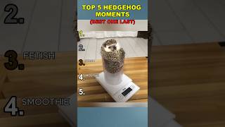 TOP 5 HEDGEHOG MOMENTS #shorts