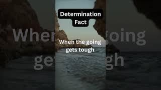 best tells of life #Shorts #facts#factsfirst #quicktips #youtube