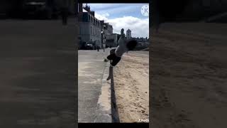 funny video tech 🤣#funnyshort# #funnytech#