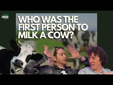 🐄 Who Milked the First Cow... and Why? | Honey, Satnav, and Cloning Explained – ANMAN #3