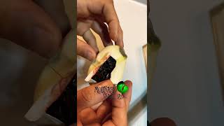 🐍 Egg Cutting 🧪 #shorts #molinarosnakelab #ballpython #royalpython #elpaso #petsnake #snakebreeder