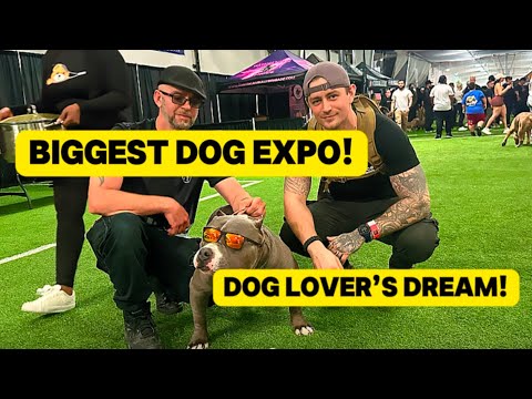Canada’s Biggest Dog Show? – My First Time at Quality Control 3