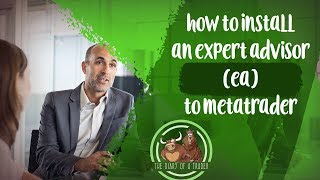 How to install expert advisor (EA) to MetaTrader | expert advisor settings