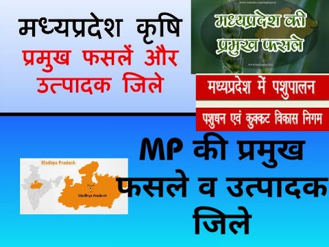 #MP GK-MPPSC|पटवारी-मध्यप्रदेश की प्रमुख फसल व उत्पादक जिले BY Rahul Sir समस्त प्रतियोगिता परीछाहेतू