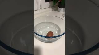 HOW TO CHOP AN EGG #lifehacks #lifehacksforhome