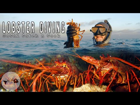 California Lobster Season Opens with a Wild Spearfishing Cookout