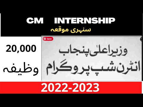 CM Punjab cm internship program for media graduate 2022-2023 @job and admission