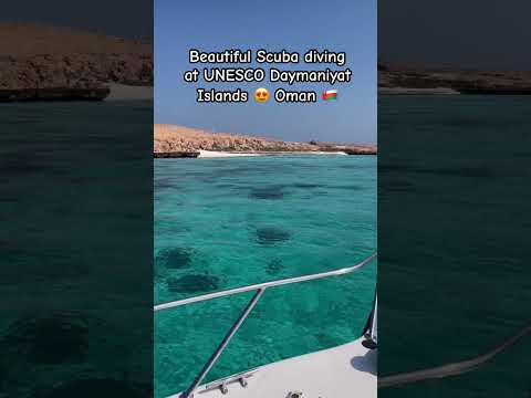 2024 Amazing scuba diving in Oman🇴🇲❤️ My solo trip to Oman Youtube video will be out soon!