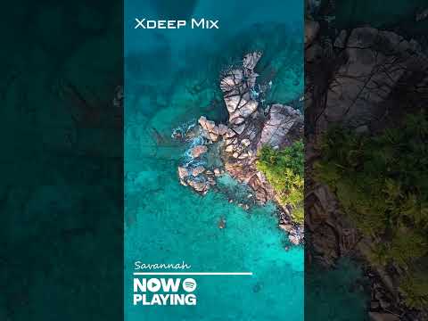 Deep House Sunset 🌅 Chill Vibes at the Beach #Shorts