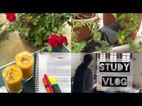 Study vlog | day 45 | pigeon seek shelter under plant pot 🌧🐦🌱 | mango milkshake🥛🥭 | economy📖📚