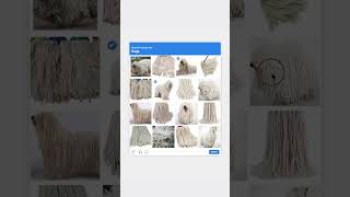 Day 43: Making CAPTCHAs Harder - Dog Edition