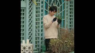 my lethal man drama scene English sub #shorts #chinesedramashorts #ytshorts #youtubeshorts