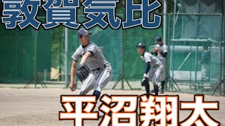 敦賀気比 平沼翔太 ピッチングフォーム集
