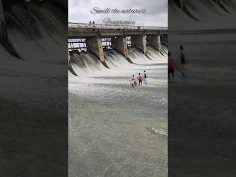 Devarabelakere check Dam
