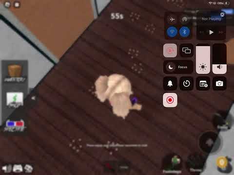 1v1 with my sister @MollyxRoblox #mm2 #1v1