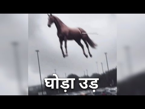 Ultimate "India Is Not For Beginners" Compilation Part 2