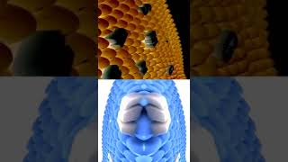 Samsung Logo Animation Inverted Double Special Effects #shorts 2