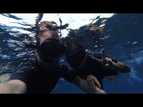 Voyage en Martinique - Novembre 2022