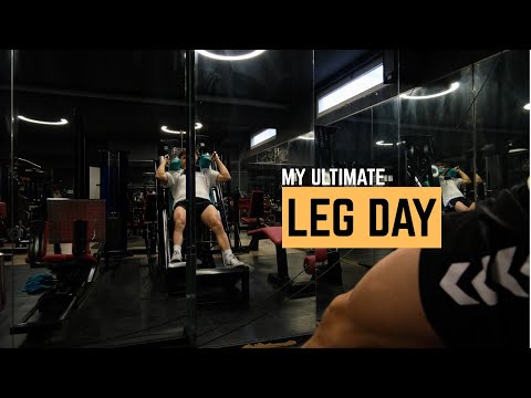 Mein aktuelles Beintraining🦍