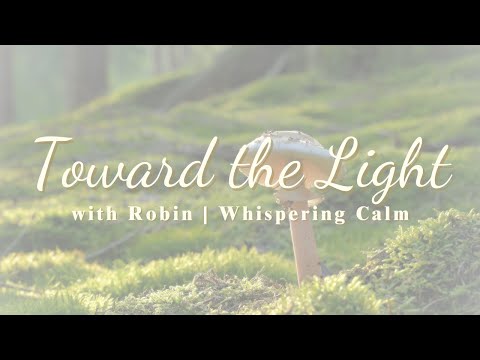 Toward the Light | Gentle Piano for Emotional Resilience and Inner Warmth | 1 Hour Healing Music