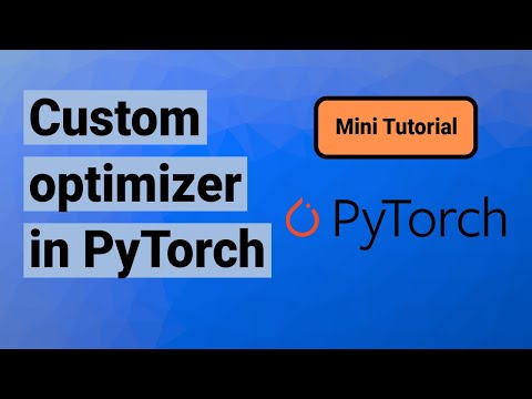 Custom optimizer in PyTorch